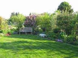 5 Tipps Fur Den Perfekten Rasen Gruner Rasen Garten Gartengestaltung