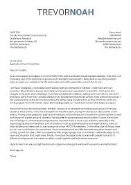Cover Letter For Meeting Coordinator Paper Writers For Hire
