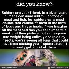 Did You Know Facts That No One Knows Did You Know Facts Cool Science Facts Facts