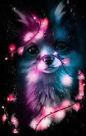 Pin By Raffy On Animals Wallpapers Cute Animal Drawings Anime Animals Cute Cartoon Animals