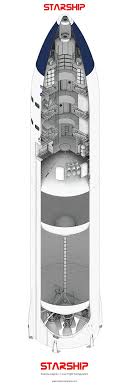 Designed a concept for the spaceship's interior himself. Cutaway Diagram Of Spacex Lunar Starship Starship Design Spacex Starship Spacex