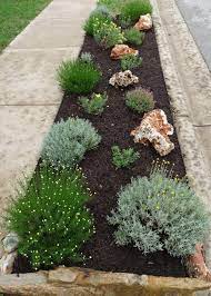 Curbside Landscaping In 2020 Large Yard Landscaping Large Backyard Landscaping Sidewalk Landscaping