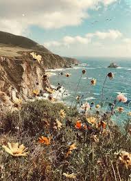 February 17, 2021april 1, 2020 by admin. Prints A Map Of Dreams Nature Photography Aesthetic Wallpapers Nature Aesthetic