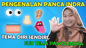 Permainan ini juga bertujuan untuk mengasah kreativitas, bahasa. Pengenalan Panca Indra Untuk Paud Tk Tema Diri Sendiri Sub Tema Panca Indra Youtube