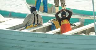 Salvar de la extinción a la vaquita marina es un anhelo compartido del gobierno de méxico con el mundo entero. Saving The Vaquita Marina And The Urgency Of This Fall