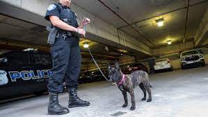 K9 hure