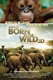 Born to be wild is a song written by mars bonfire and first performed by the band steppenwolf. Born To Be Wild Short 2011 Imdb