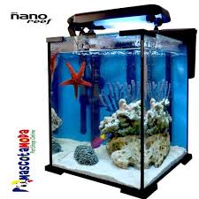 Pin By Mascotamoda On Acuarios Ecuador Mascotamoda Popcorn Maker Aquarium Kitchen Appliances