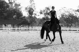 Carl hester and charlotte dujardin work their magic in this 15 minute masterclass where we get a sneak peak into their training system and how it all works. 8 Dinge Die Man Uber Charlotte Dujardin Wissen Sollte Equestrian Worldwide Pferdesport Weltweit Eqwo Net