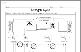 Pin By Cathy Moore On Grade 9 Science Nitrogen Cycle Nitrogen Simple Water Cycle