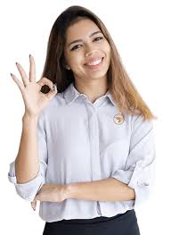 Perfil Organizacional