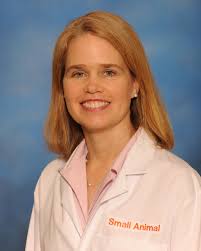 Cataracts in Dogs: Causes, Treatment, & Management