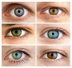 We're not talking about perspective, but your actual sense of vision and sight. Understanding Eye Color Optical Masters