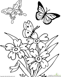 Seamless vintage print flowers butterflies meadow floral pattern. Butterfly Worksheet Education Com