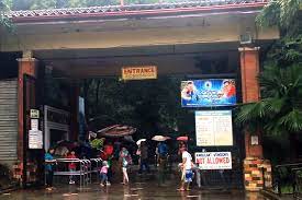 Manila Zoo Tagged As Major Pollutant Of Manila Bay Closed For Rehab Untv News Untv News