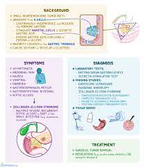 Gastrinoma What Is It Symptoms Diagnosis Treatment And More Osmosis