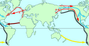 Migration of middle asian tribes ile ilgili görsel sonucu
