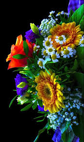 Pinterest Com Pinterest Pins Pinterest Com Pinterest Pins Schone Blumen Bilder Schone Blumen Blumenbilder