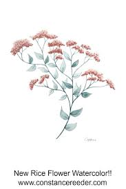 Rice Flower Watercolor Original Watercolor Art Watercolor Art Art