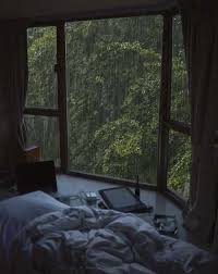 Pmtzuw0vuch41m Are there any things i should. https www tumgir com tag green 20academia