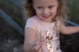 Stephanie K Austin Photography