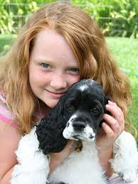 They are, by nature, companion animals, but are frequently trained. Frequently Asked Questions Zim Family Cocker Spaniels