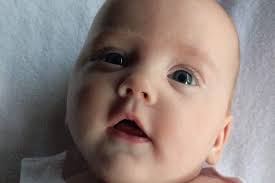 Fundraiser for Nina Brunton by Camille Doyle : An opportunity to help three  special beings...