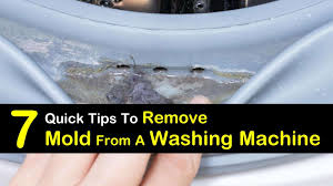 If you find any gunk, wipe it away with a sponge. 7 Quick Ways To Remove Mold From A Washing Machine
