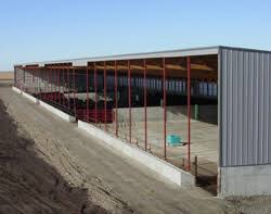 Cattle in the open lots required the most feed per unit of gain, whereas cattle fed in the manure scrape facility were the most efficient (table 3). Beef Barns Monoslope Cattle Barns Lester Buildings