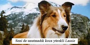 Lassie Uludag Sozluk