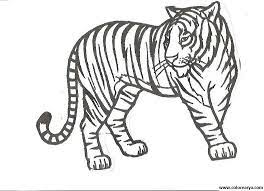 Pin De Clara Montero Lopez En Tigres Gatito Para Colorear Dibujos De Animales Reales Dibujo De Perro