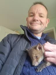 A cub i saved last spring, was dehydrated and in the middle of the road.  Took it too the south east essex animal hospital, where it made a full  recovery and was