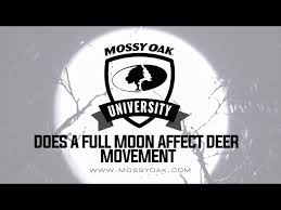 the effect moon phase has on hunting deer mossy oak