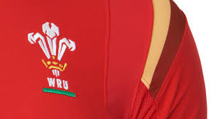 A wide variety of wales rugby options are available to you Petition Wru Change The Crest To A Welsh Dragon Instead Of The English Prince Of Wales S Feathers Change Org