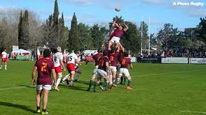 ¿estás buscando información sobre las últimas noticias de matías palleiro? Rugby A Pleno Rugby