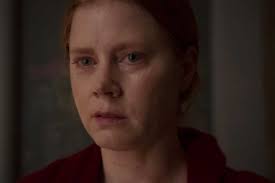 La mujer en la ventana, amy adams, cine, joe wright. La Mujer En La Ventana El Thriller Psicologico Con Amy Adams Llega A Netflix