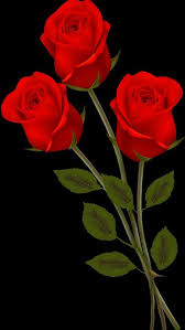 Send beautiful rose day wallpapers and greeting to your lovers. Pin By Le Ha On Roses Kingdom 3 Beautiful Flowers Wallpapers Gulab Flower Beautiful Rose Flowers