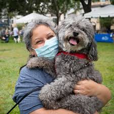 A wide range of additional services may also be offered by the alaska spca. Pet Walk 2021 What A Pawsatively Great Event Spca Tampa Bay