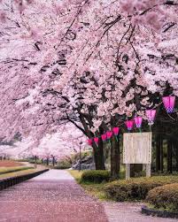 New Post On Quiet Nymph Pejzazhi Illyustracii Koshek Gorod