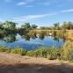 Sweetwater Wetlands Trash and Water Lettuce Clean Up event image