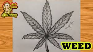 This is a popular way to draw, and today this article will show you how to do it. Marijuana Weed Leaf 420 Easy Way To Draw Realistic Leaf Drawing For Beginners How To Draw Leaf Youtube