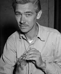 Mystery photo gallery #51