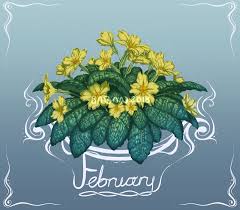 Birth Month Flower Grow Kit Instructions February Primroses By Babakinkin Primroses Birth Month Flowers Pansies