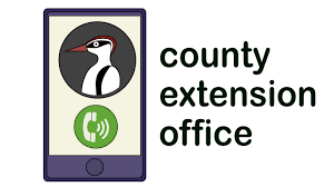 Woodpeckers live on a diet of insects, fruit, acorns, and nuts. 3 Ways To Get Rid Of Woodpeckers Wikihow