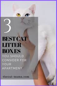 The 3 Best Cat Litter Box For Small Apartment Best Cat Litter Cat Litter Litter Box