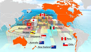The cptpp was concluded on 23 january 2018 in tokyo, japan and signed on 8 march 2018 in singapore ratified the cptpp on 19 july 2018, becoming the third nation to do so after mexico and. Cptpp To Help Vietnam Accelerate Reforms Knitting Views Bangladesh