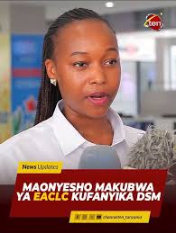 Kwa hili Jua la Dar Es Salaam linavyochoma, unaweza kupata harufu ya  mishkaki kumbe kichwa chako kinaungua. Ukifika Kariakoo ndiyo balaaa watu  wamejazana, hakuna hata pa kupita. Tabu zote za nini? Agiza