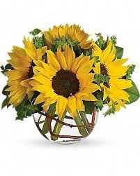 Sunny Sunflowers In Rock Hill Sc Cindys Flower Shop