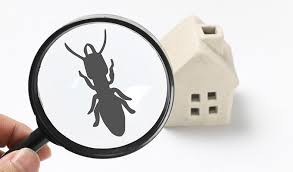 Read our pest inspection guide now for the best tips and techniques for doing your own pest control inspection for free. Is Yearly Pest Control Inspection Necessary Buyers Agent