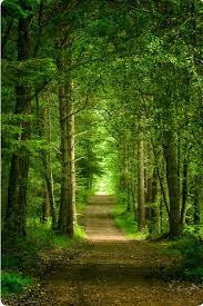 Country Road Take Me Home In 2020 Landscape Nature Pictures Nature Photography